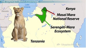 Ecosistema Serengeti-Mara