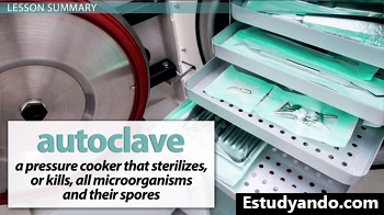 Descripción del autoclave