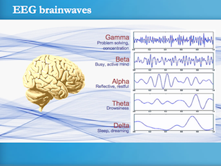 EEG BrainWaves