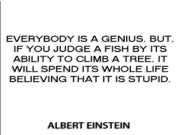 Cita de Einstein