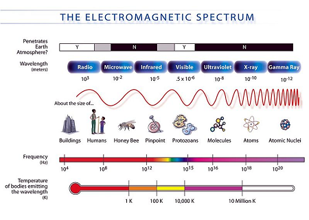 componentes del espectro electromagnético