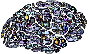 imagen del cerebro emocional