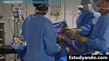 procedimiento de endoscopia