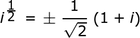 n = 1