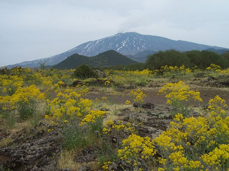Una vista lateral del Etna. Se cierne sobre las colinas boscosas.
