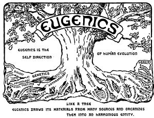 árbol