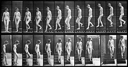 Muybridge, Desnudo bajando las escaleras