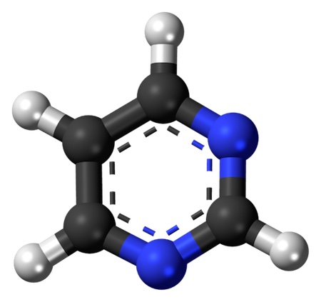 Modelo de bola y palo para pirimidina. La estructura de una pirimidina es un anillo formado por 6 átomos, 4 carbonos y 2 nitrógenos. Este compuesto también contiene 4 átomos de hidrógeno que están unidos covalentemente a cada uno de los carbonos.