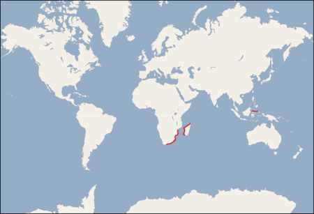 mapa de distribución del celacanto