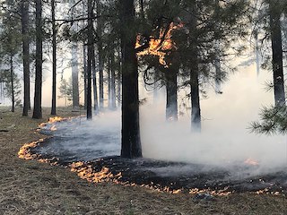 incendio forestal