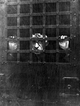 Primera fotografía de Czolgosz tras su arresto