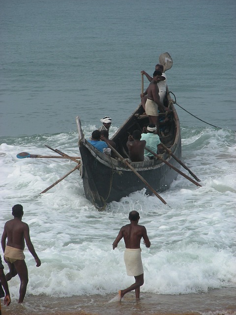 Pesca de Keralans. Hablantes dravídicos. Indio meridional de piel oscura.