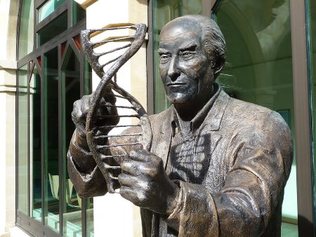 Una fotografía en color de primer plano de una estatua de Francis Crick sosteniendo una hebra de ADN de doble hélice.