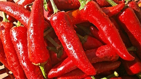 Pimientos