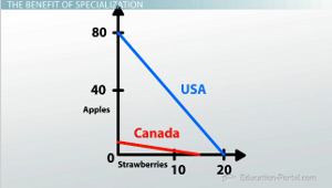 Gráfico de costo de oportunidad de fruta