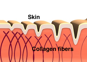 colágeno