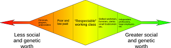 Eugenesia de clase