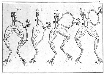 Galvani