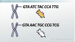Diferencias genéticas