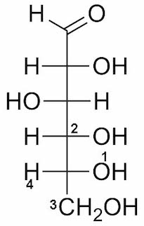 Proyección de glucosa de Fischer