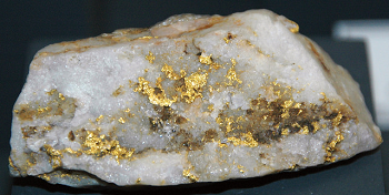 veta de oro