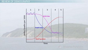 Gráfico que muestra las etapas de la transición demográfica