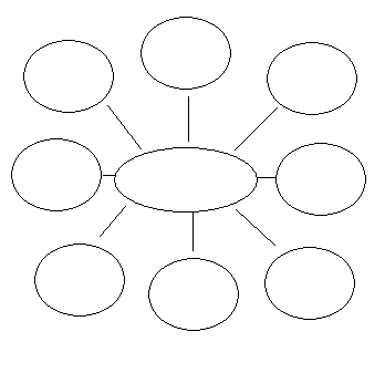 organizador