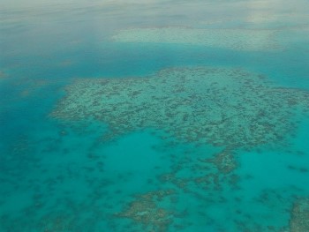Gran Barrera de Coral