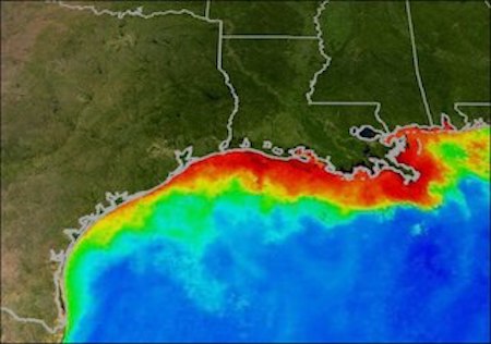 Mapa de una zona muerta en el Golfo de México que muestra un gradiente de color de áreas hipóxicas.