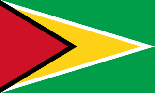 La bandera de Guyana es roja, negra, amarilla, blanca y verde.