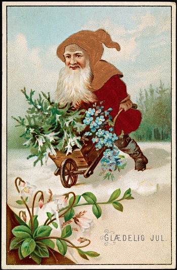 Tomte