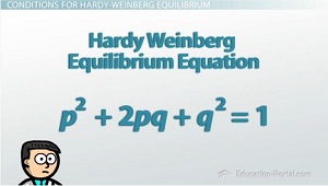Ecuación de equilibrio de Hardy-Weinberg