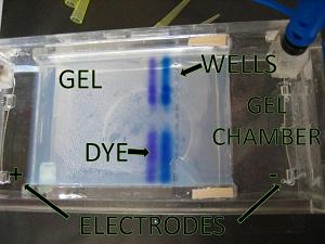 Imagen de caja de gel