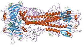 Estructura de la hemaglutinina