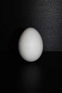Huevo equilibrado