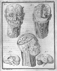Anatomía humana, Histoire Naturelle
