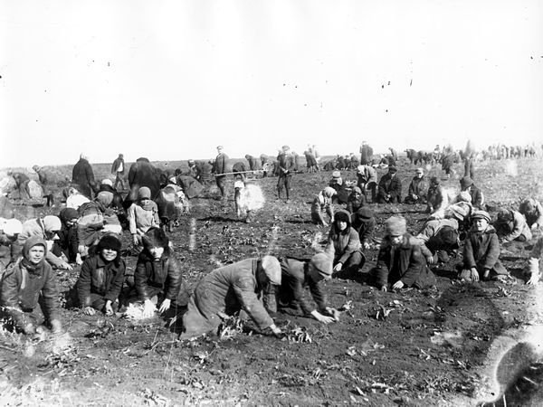 Imagen de Holodomor