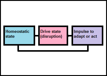 homeostasis