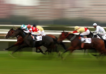 caballos