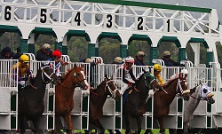 carrera de caballos
