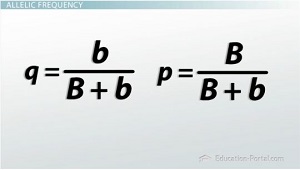 Cómo calcular pyq