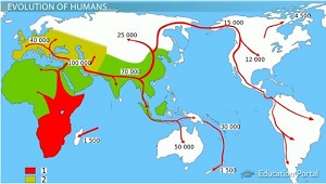 Migración humana
