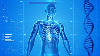 ¿Qué nos hace humanos?