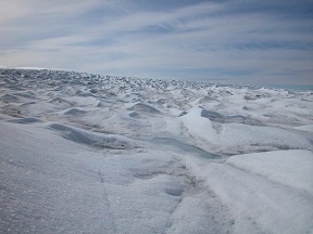 hoja de hielo