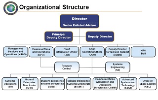 Una representación gráfica de un organigrama de estructura
