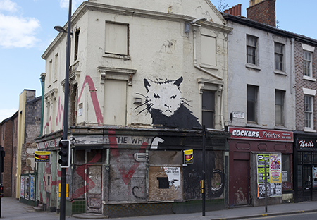 Una imagen de graffiti de una rata en el costado de un edificio blanco desgastado en Liverpool, Inglaterra.