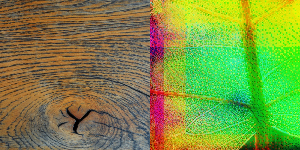 Textura de imagen