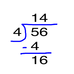 Paso 5