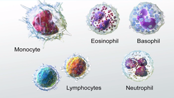 células imunes