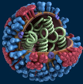 Sobre Influenza A